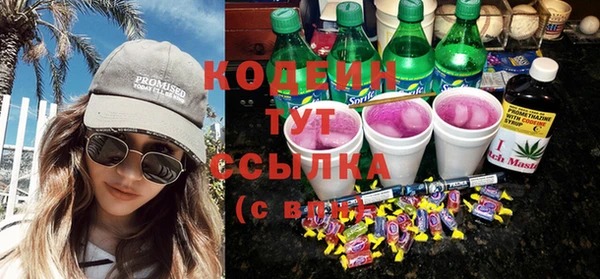 бошки Инта