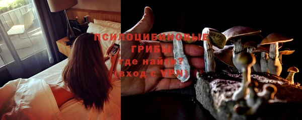 дурь Инсар