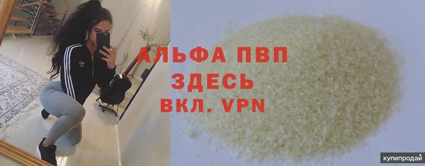 бошки Инта
