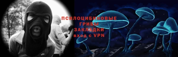 дурь Инсар