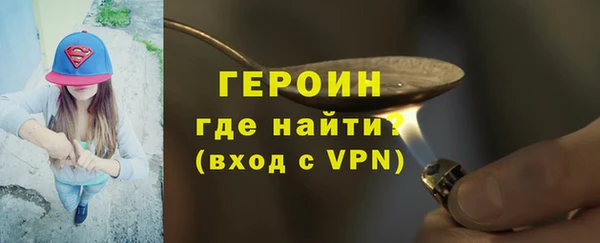 гидра Каменка