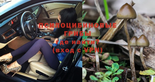 МДПВ Иннополис