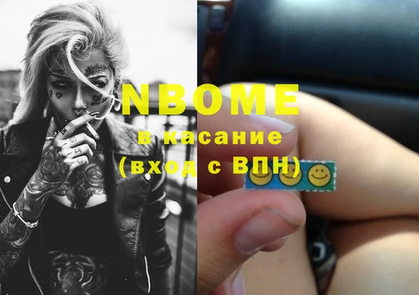 бошки Инта